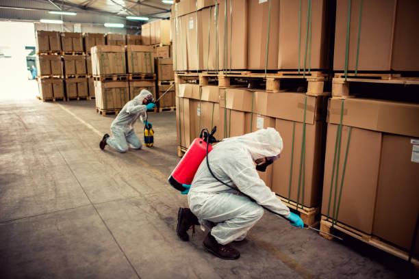 Best Best Pest Control Companies  in Anton, TX