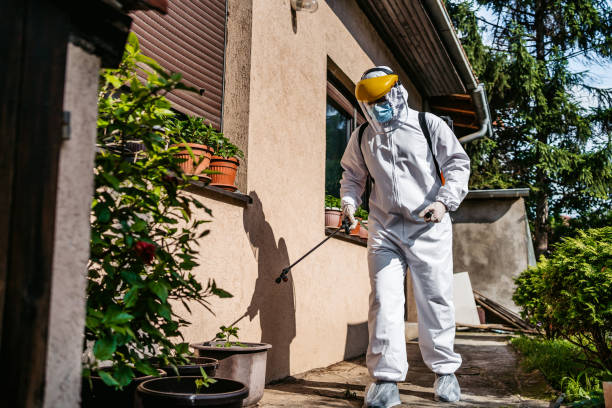 Best Cockroach Control Services  in Anton, TX