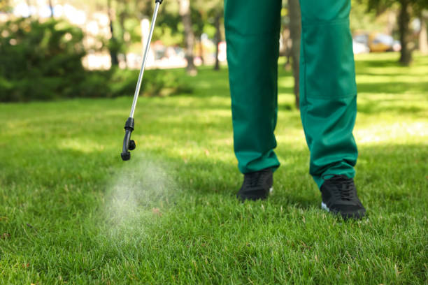 Professional Pest Control in Anton, TX
