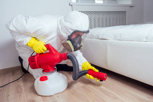 Best Pest Prevention Services  in Anton, TX