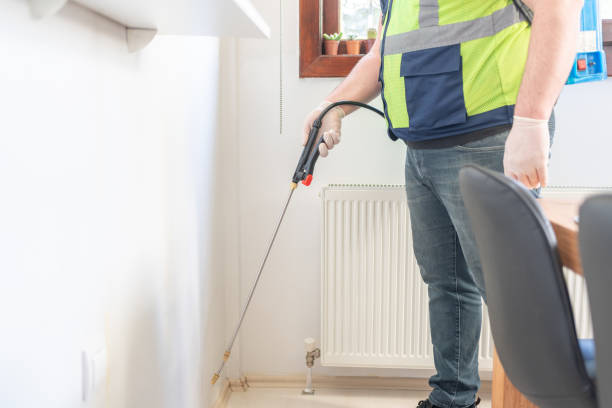 Best Ant Control Services  in Anton, TX