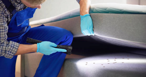 Best Bed Bug Extermination  in Anton, TX