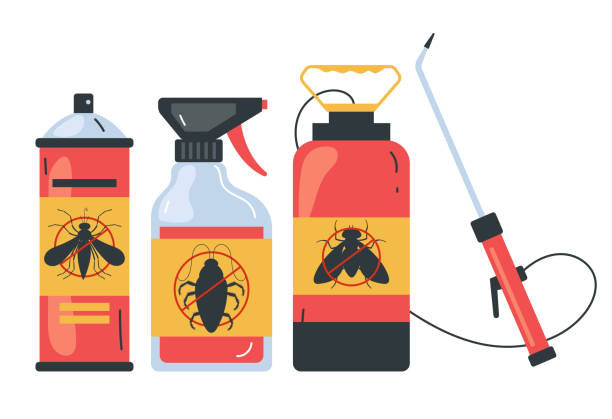 Wasp Removal Services in Anton, TX