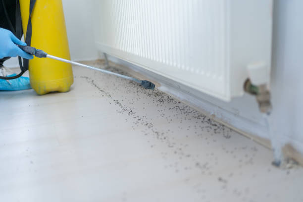 Best Affordable Pest Control Services  in Anton, TX