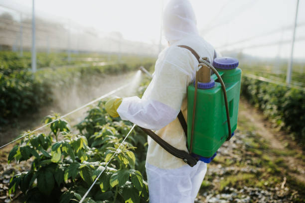 Best Termite Control Services  in Anton, TX